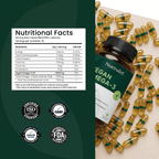 Nuerolet Vegan Omega 3 Algal Oil | 700mg High Potency DHA - nuerolet veg omega 3