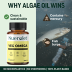 why_nuerolet_veg_omega_from_1000mg_of_algae_oil_omega_3_6_9_wins_form_fish_oil